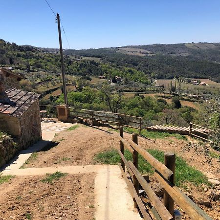 Podere Soccorso Casa Vigneto Montalcino Exterior photo