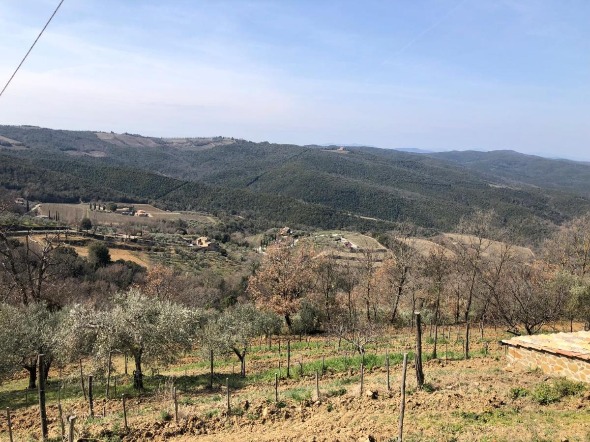 Podere Soccorso Casa Vigneto Montalcino Exterior photo