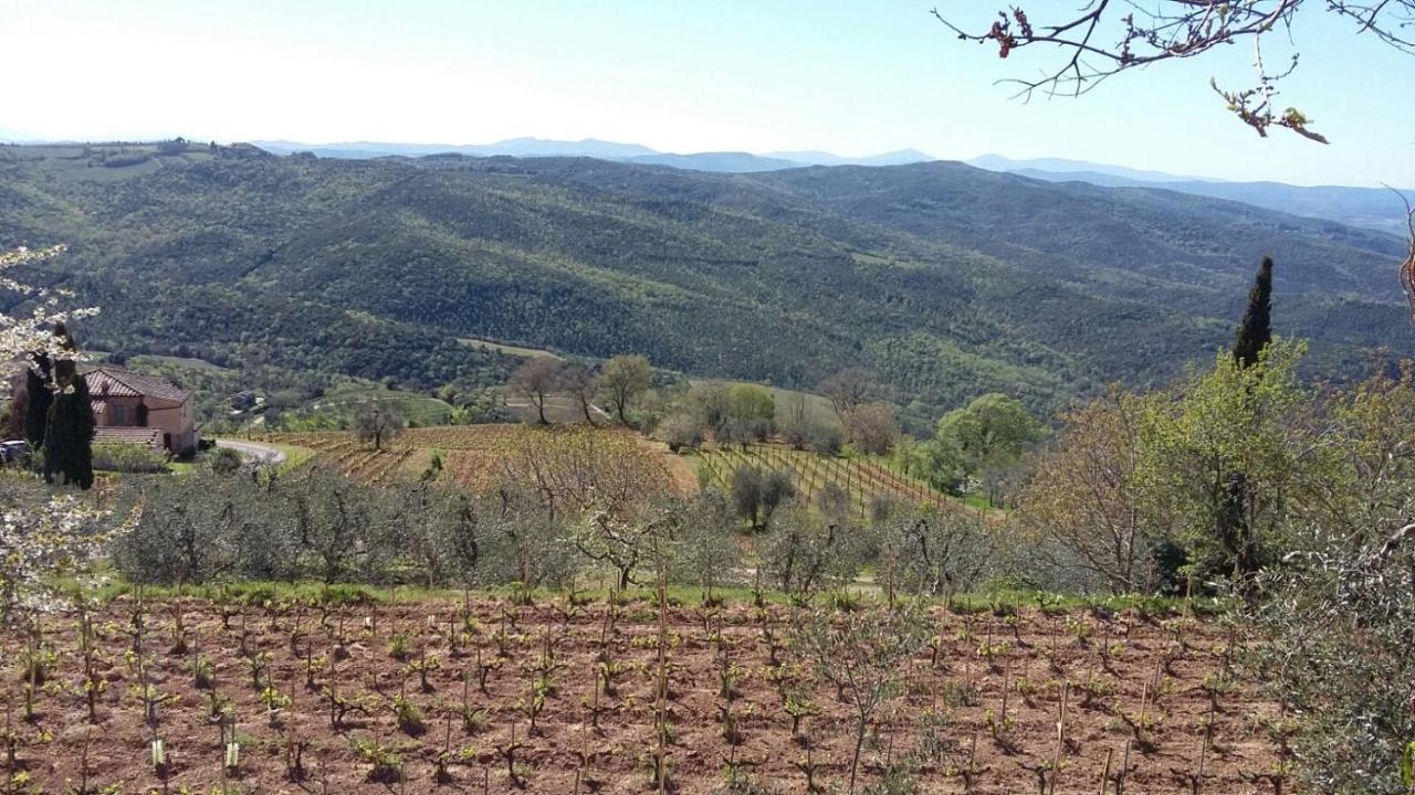 Podere Soccorso Casa Vigneto Montalcino Exterior photo