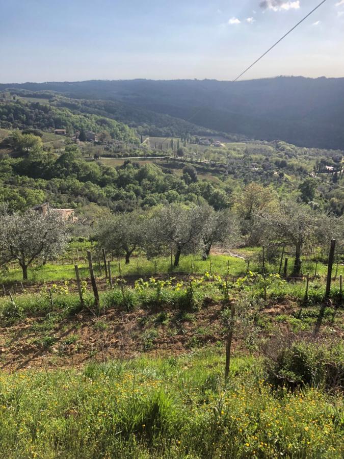 Podere Soccorso Casa Vigneto Montalcino Exterior photo